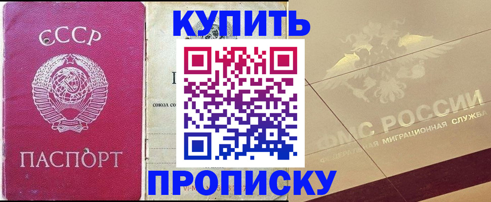 прописка для школы в Сураже